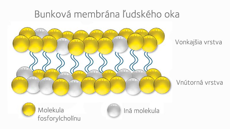 pc-molecule