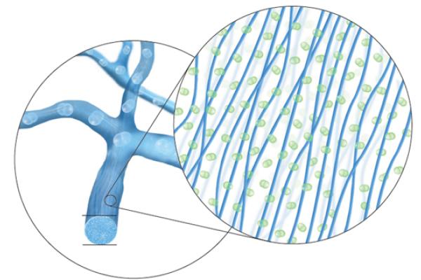 smart-silicone-chemistry800x360
